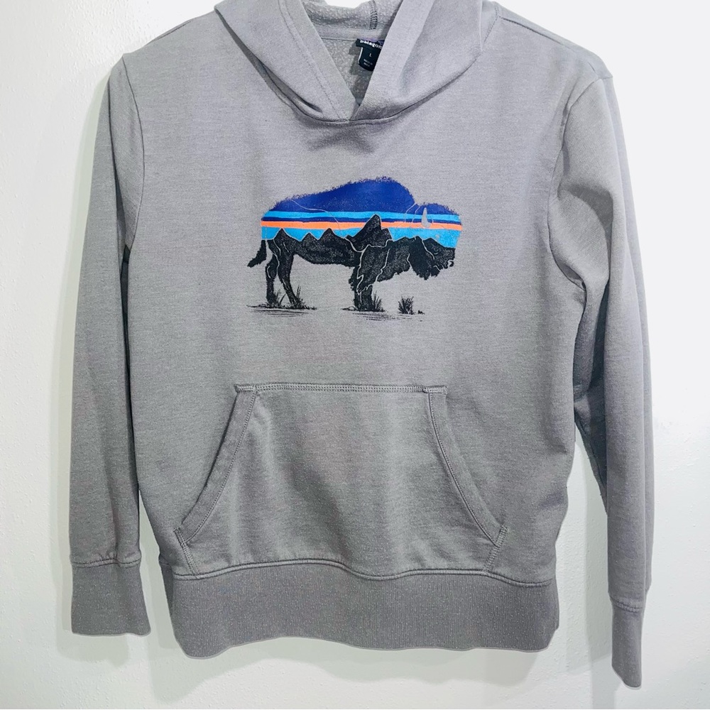 Patagonia Boys Hoodie, Gray (L)